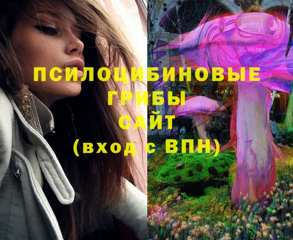 2c-b Нязепетровск