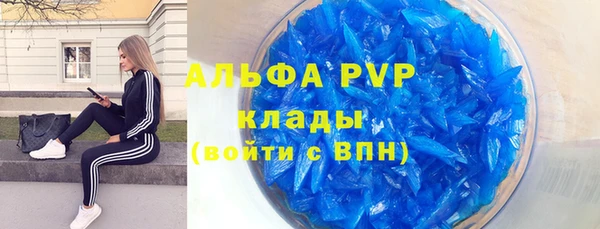 спиды Новозыбков