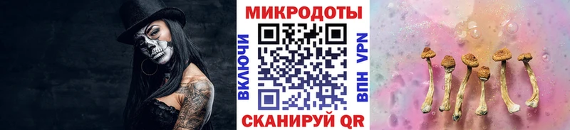 blacksprut сайт  Короча  Галлюциногенные грибы MAGIC MUSHROOMS 